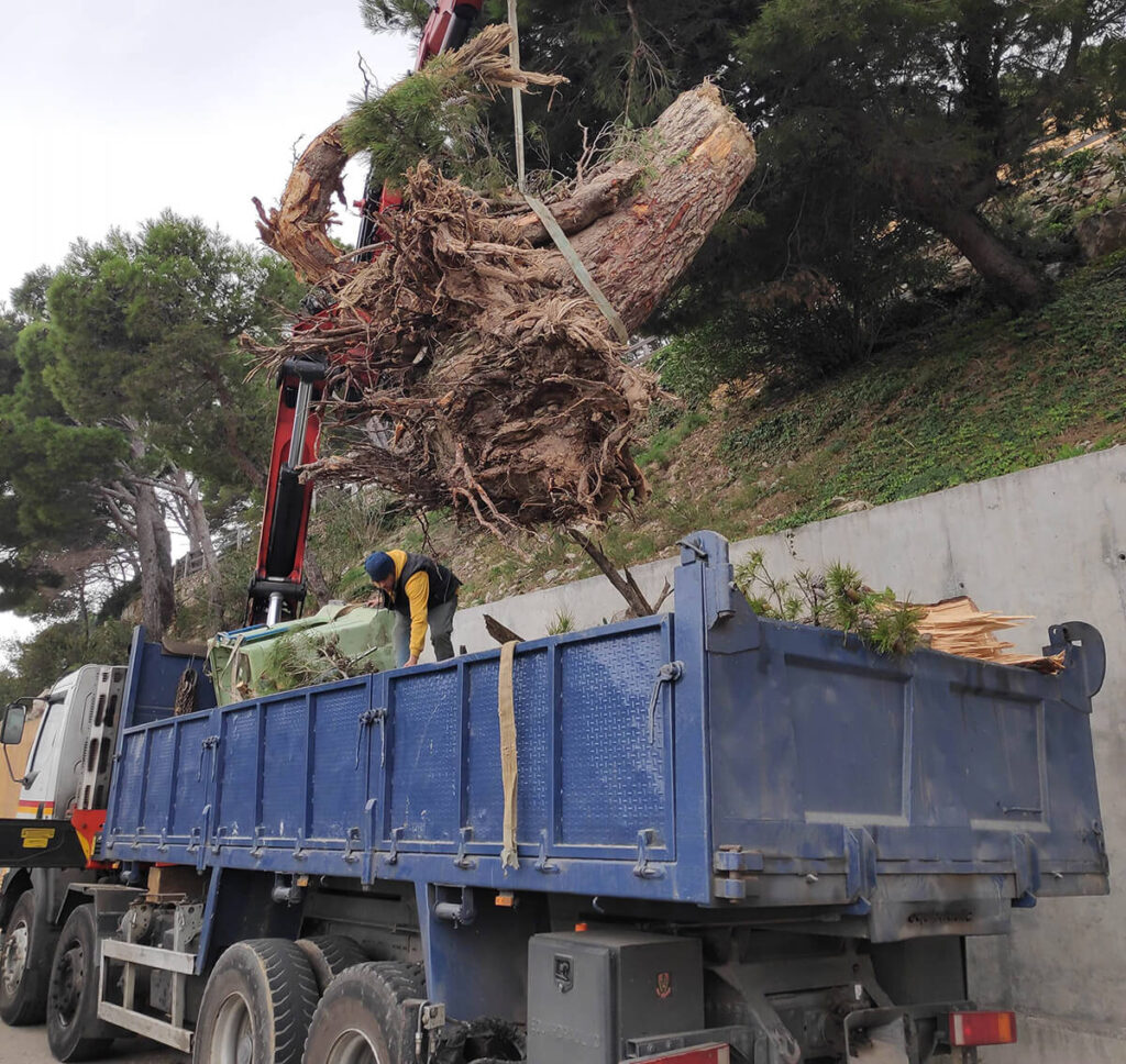 alquiler camion volquete